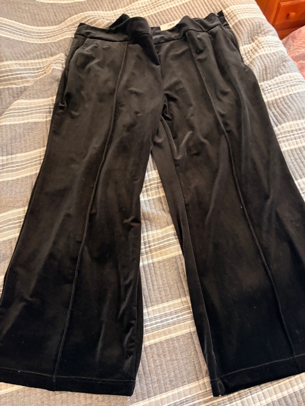 NWT Plus Size 4X INC Velvet Black Velvet Trousers with Luxe Sheen